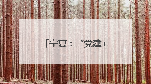 宁夏：“党建+科特派”架起服务乡村连心桥