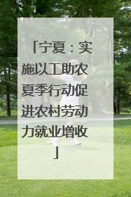 宁夏：实施以工助农夏季行动促进农村劳动力就业增收