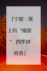 宁夏：塞上有“南果” 四季别样香