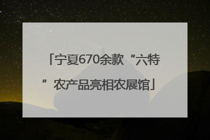 宁夏670余款“六特”农产品亮相农展馆