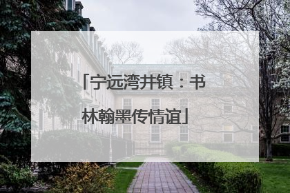 宁远湾井镇：书林翰墨传情谊