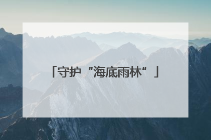 守护“海底雨林”