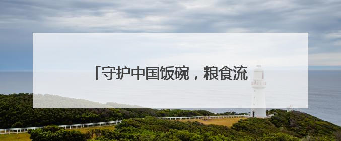 守护中国饭碗，粮食流通领域“黑科技”上新
