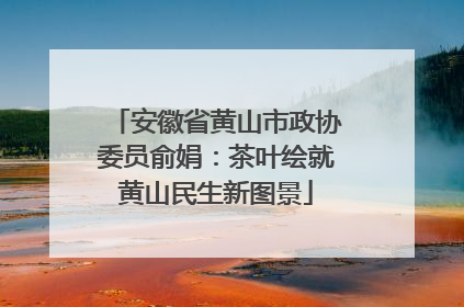 安徽省黄山市政协委员俞娟：茶叶绘就黄山民生新图景