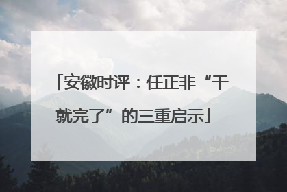 安徽时评：任正非“干就完了”的三重启示