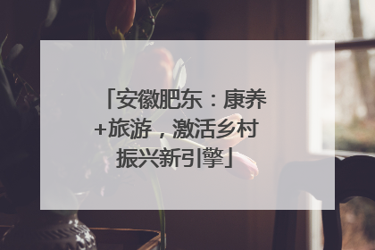 安徽肥东：康养+旅游，激活乡村振兴新引擎