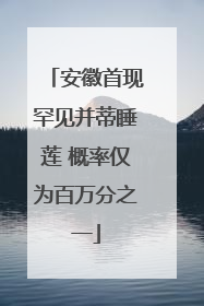 安徽首现罕见并蒂睡莲 概率仅为百万分之一