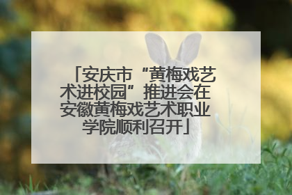 安庆市“黄梅戏艺术进校园”推进会在安徽黄梅戏艺术职业学院顺利召开