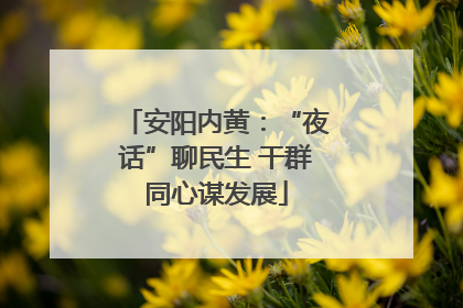 安阳内黄：“夜话”聊民生 干群同心谋发展