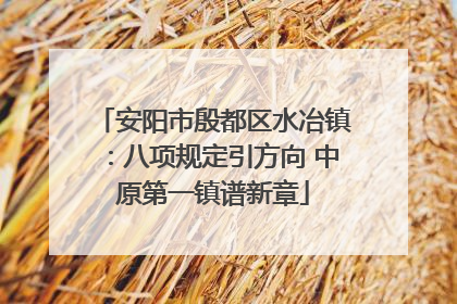 安阳市殷都区水冶镇：八项规定引方向 中原第一镇谱新章