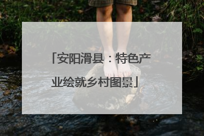 安阳滑县：特色产业绘就乡村图景