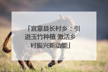 宜章县长村乡：引进玉竹种植 激活乡村振兴新动能