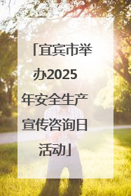 宜宾市举办2025年安全生产宣传咨询日活动