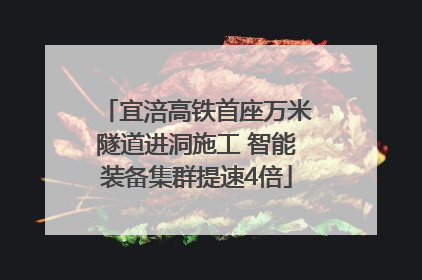 宜涪高铁首座万米隧道进洞施工 智能装备集群提速4倍