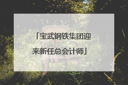 宝武钢铁集团迎来新任总会计师