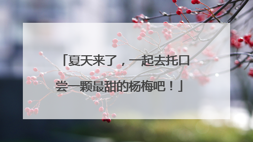 夏天来了，一起去托口尝一颗最甜的杨梅吧！