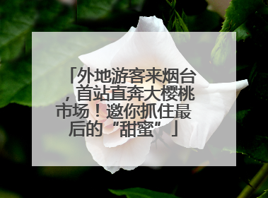 外地游客来烟台，首站直奔大樱桃市场！邀你抓住最后的“甜蜜”