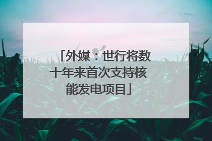 外媒：世行将数十年来首次支持核能发电项目
