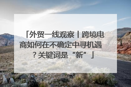 外贸一线观察丨跨境电商如何在不确定中寻机遇？关键词是“新”