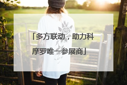 多方联动，助力科摩罗唯一参展商