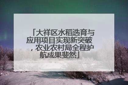 大祥区水稻选育与应用项目实现新突破，农业农村局全程护航成果斐然