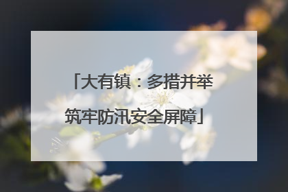 大有镇：多措并举筑牢防汛安全屏障