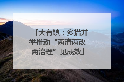 大有镇：多措并举推动“两清两改两治理”见成效