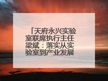 天府永兴实验室联席执行主任梁斌：落实从实验室到产业发展的最后一公里
