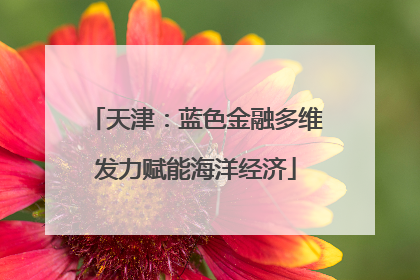 天津：蓝色金融多维发力赋能海洋经济