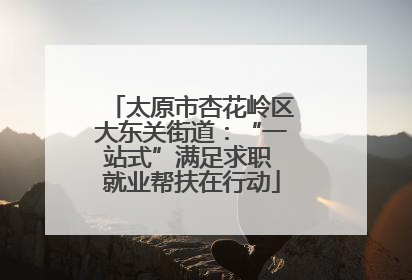 太原市杏花岭区大东关街道：“一站式”满足求职 就业帮扶在行动