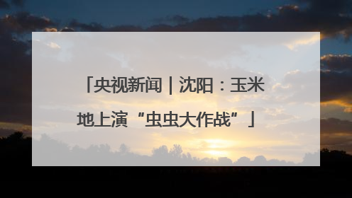 央视新闻｜沈阳：玉米地上演“虫虫大作战”