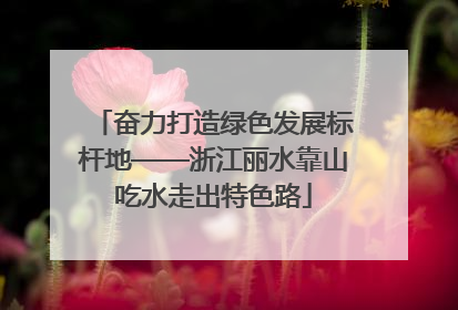 奋力打造绿色发展标杆地——浙江丽水靠山吃水走出特色路