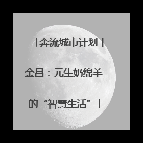 奔流城市计划丨金昌：元生奶绵羊的“智慧生活”