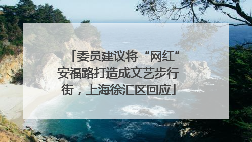 委员建议将“网红”安福路打造成文艺步行街，上海徐汇区回应
