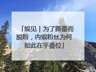 娱见｜为了撕番而脱粉，内娱粉丝为何如此在乎番位