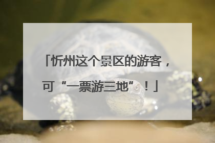 忻州这个景区的游客，可“一票游三地”！