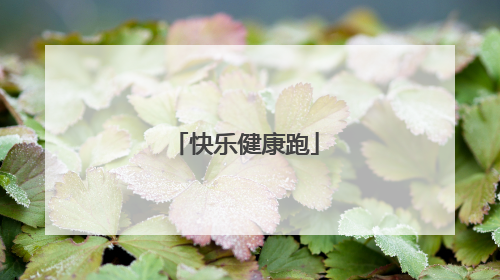 快乐健康跑