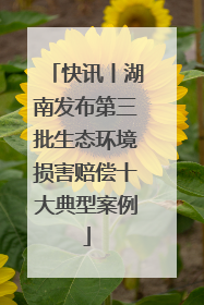 快讯丨湖南发布第三批生态环境损害赔偿十大典型案例