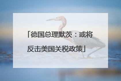 德国总理默茨：或将反击美国关税政策