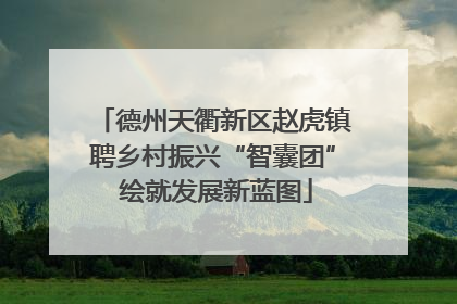 德州天衢新区赵虎镇聘乡村振兴“智囊团” 绘就发展新蓝图