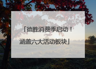 德胜消费季启动！涵盖六大活动板块
