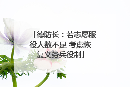 德防长：若志愿服役人数不足 考虑恢复义务兵役制