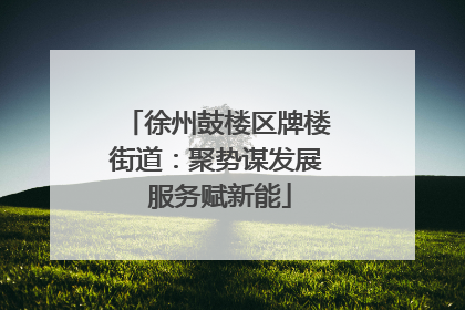 徐州鼓楼区牌楼街道：聚势谋发展 服务赋新能