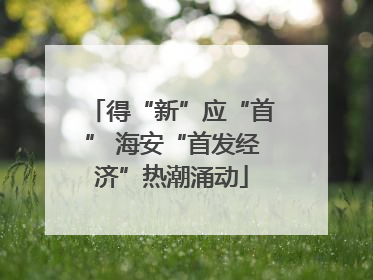 得“新”应“首” 海安“首发经济”热潮涌动