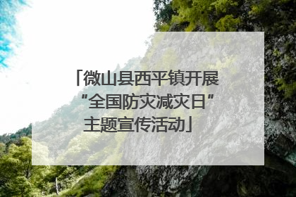 微山县西平镇开展“全国防灾减灾日”主题宣传活动