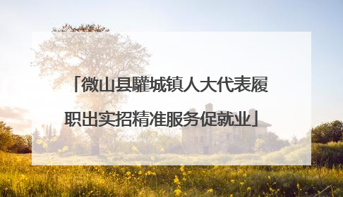 微山县驩城镇人大代表履职出实招精准服务促就业