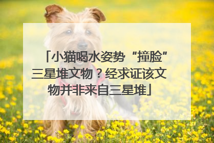 小猫喝水姿势“撞脸”三星堆文物？经求证该文物并非来自三星堆