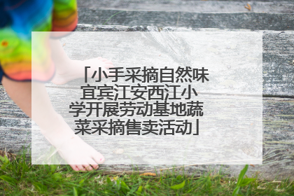 小手采摘自然味 宜宾江安西江小学开展劳动基地蔬菜采摘售卖活动
