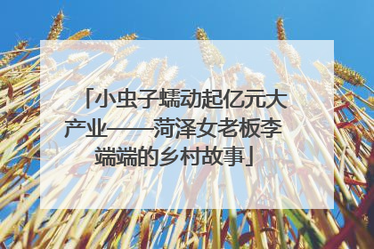 小虫子蠕动起亿元大产业——菏泽女老板李端端的乡村故事