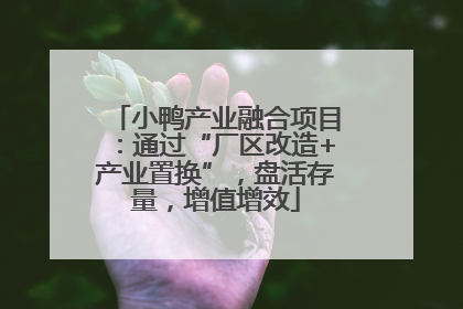 小鸭产业融合项目：通过“厂区改造+产业置换”，盘活存量，增值增效